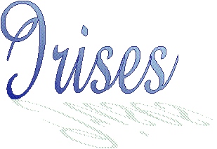 Irises